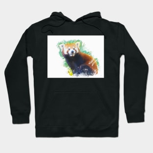 Red Panda Animal Wildlife Forest Nature Adventure Bamboo Graphic Digital Painting Hoodie